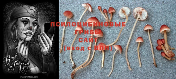 гашишное масло Покров