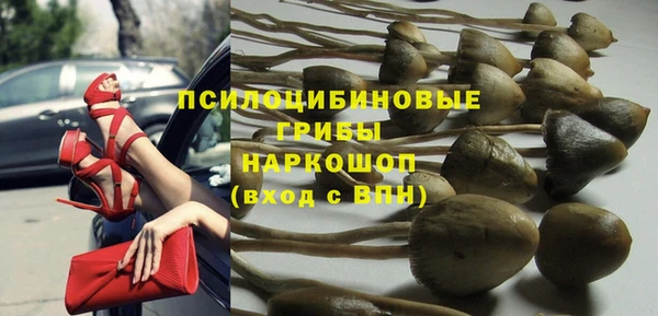 кокс Баксан
